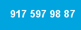 917 597 98 87